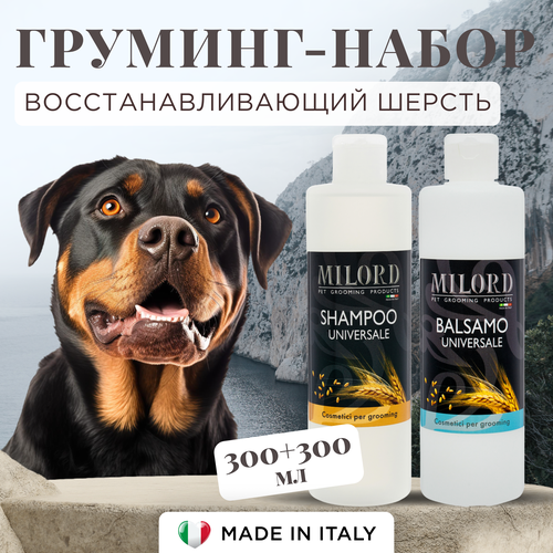 ���� �������� ����� ������� ��� ����� � ������� ������� ���������� ���������������, ��������� � ������ ��� ���� ������, MILORD, ������, 300+300 ��, ������ ������