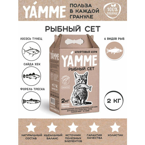    YAMME     2      -     , -  