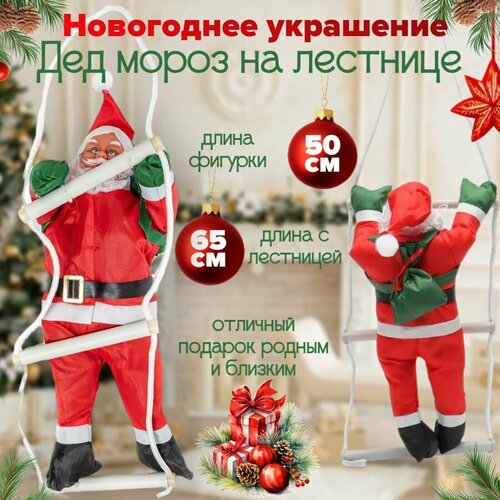 ���� ��� ����� �� �������� 50 ��, 1 ��� �����, ����� ��������� � ��������� 65 ��, ������ ������