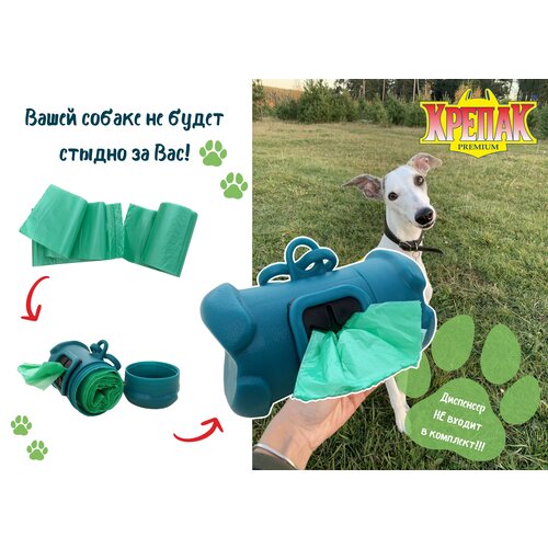 ���� �������������� ������ ��� ������ ����� ������, 60 �� / ����� ��� ������ �� ��������� ���������, 4 ������ �� 15 �������, �������, ������ ������