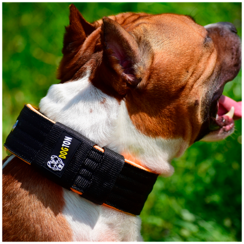 ���� ������� ��� ����� DOGTON. ������� ������� 5.5 ��. ������ ������. ������� ��������. ������� ���������. ������ ��� 35-47, ������ ������