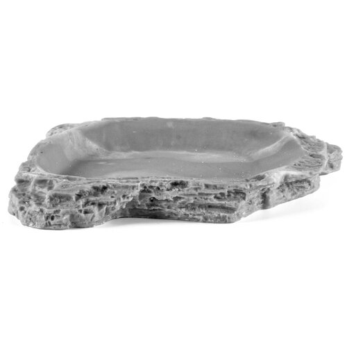 ���� �������� ��� ������� LUCKY REPTILE 