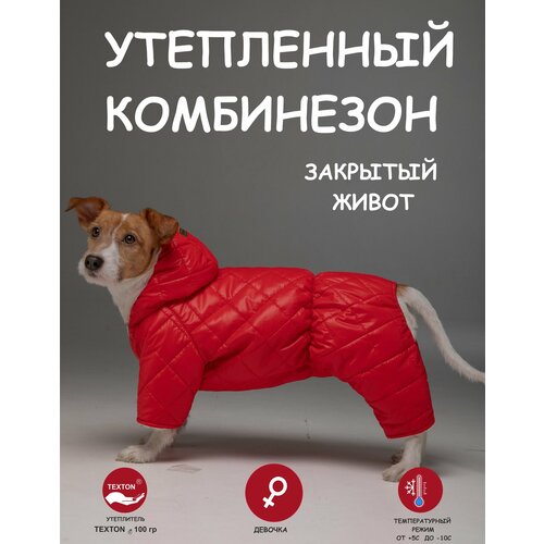 ���� ���������� ��� ����� DOGMODA ��������� ������� ����� 28 ��, ������ ������