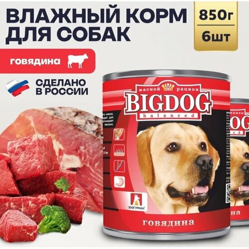     Big Dog    , 6  850   -     , -  