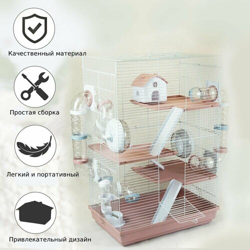 ���� ������ 3�-�������, 55*30,2*70 �� ��� �������, ����, �����, ������ ��������, ���������������� ������������� �������, N1, ������ ������