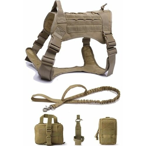 ���� ������ ��� �����, ������� � ������� �����. ����������� � ������, ������� ����� � ��������. ������ L, ����, ������ ������