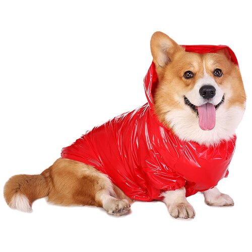 ���� �������� ��� ����� ���������� ����� �������, M, ������ ������