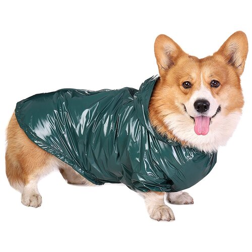 ���� �������� ��� ����� ���������� ����� �������, M, ������ ������