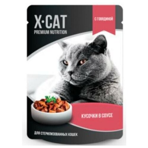  X-CAT         0.08    -     , -,   