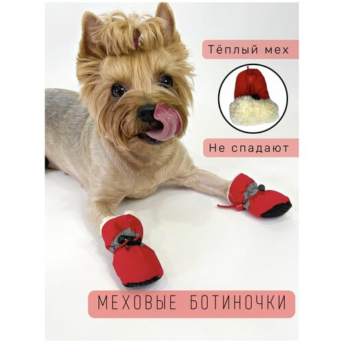 ���� ����� ��� ����� �� ���� / �� ������� / ������ 6, ������ ������