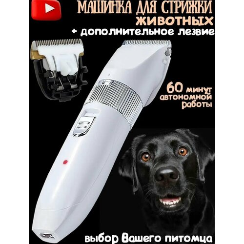 ���� ������������ ������� ��� ����� � �����, ������� ��� ������� ��������, ����� ��� ��������, 4 �������., ������ ������