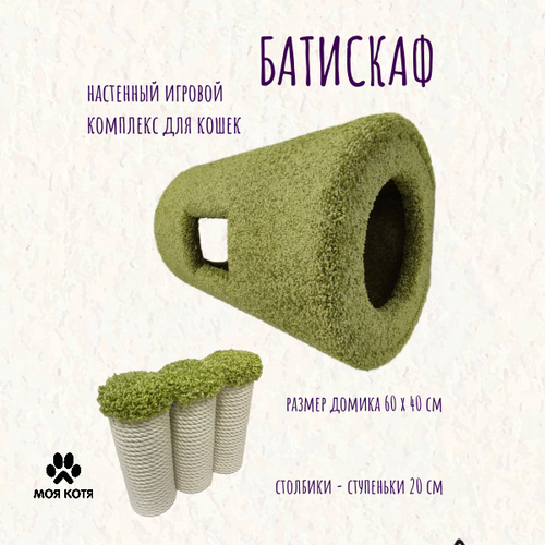 ���� ��������� �������� ��� ����� ��� ���� 