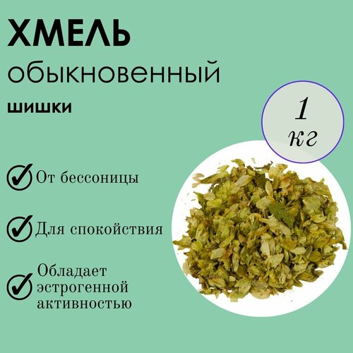 ���� ����� ����� 