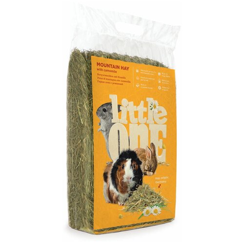 ���� ���� Little One ������ � �������� 0.4 ��/0.4 � 1��. � ��. , 1��., ������ ������