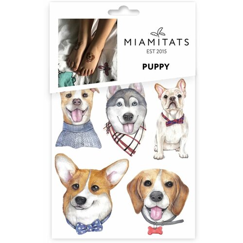  MIAMITATS    Flight, 5 , 1 ,    -     , -  