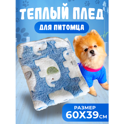 ���� ���� �������� ��� ��������, ���� �������, ������ 60x39 ��, ������ ������