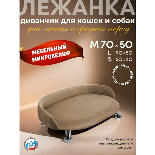 ���� ������� ��� ����� � ����� 