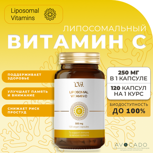  Liposomal Vitamins    - 500  / Liposomal Vitamin C, 120    -     , -  