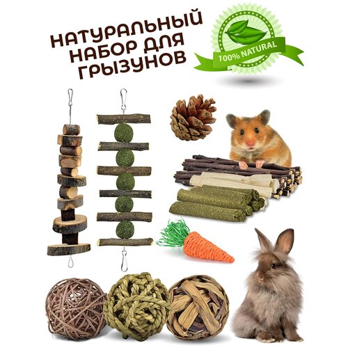 ���� ������� ��� �������� � ����, ������������ ������� ��� ��������, ����������� ������� ��� ��������, ������ ������