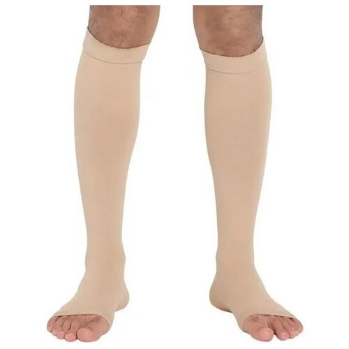 ���� ������ ������� Ergoforma, 2 ����� ����������, 322, ���� �������, ������ 3, ������ ������