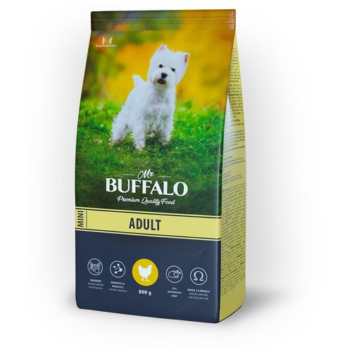      Mr.BUFFALO Adult Mini   1 .  1 .  800    -     , -  