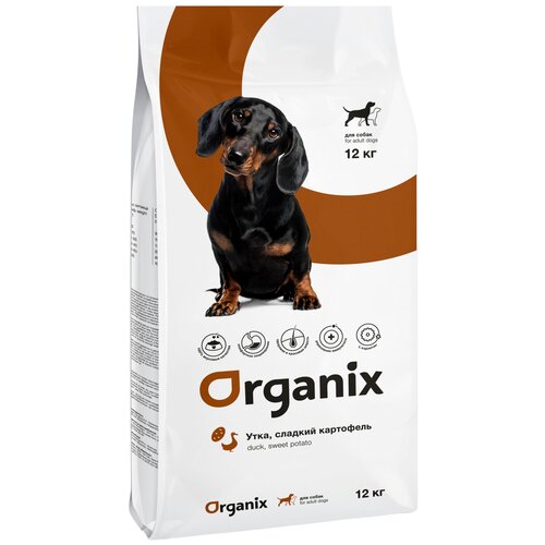  Organix       (Adult Dogs Duck and Potato), 12   -     , -,   