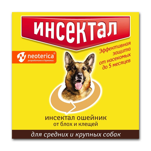 ���� Neoterica ������� �� ���� � ������ �������� ������������������ ��� ����� � ������, 65 ��, ������� 1 ��. � ��., ������ ������