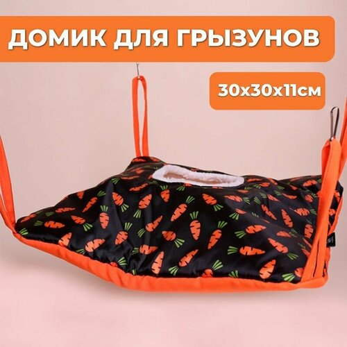 ���� ����� ��� �������� ���������, �����-������� ��� �������, ����, ����, ������� ������, ������ ������