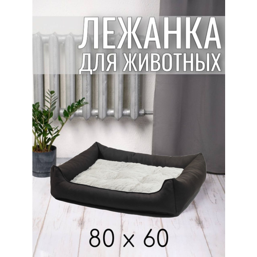 ���� ������� ��� �������� ����� � ����� ������������� 80/60 �� ����: �����, ������ ������