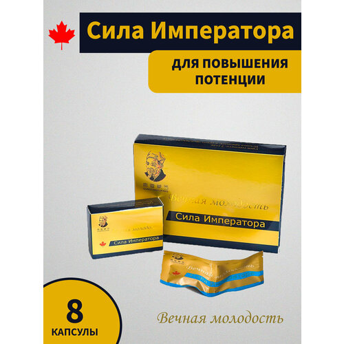 ���� ���� ����������, 1 ��. - 8 ������, ������ ������