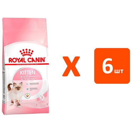  ROYAL CANIN KITTEN 36   (2   6 )   -     , -  