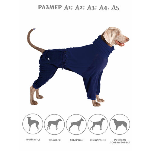 ���� �������� ���������� ��� ����� �� ������, ���� �����, ������ D4, ������ ������