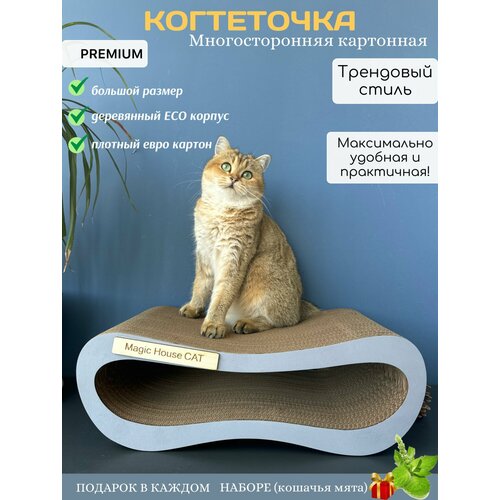 ���� ���������� ��� ����� ��������� MAGIC PRO, ������ ������