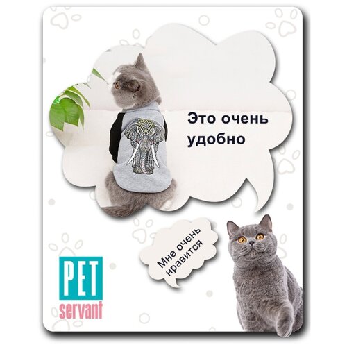     ,           P0037-23-L PET SERVANT