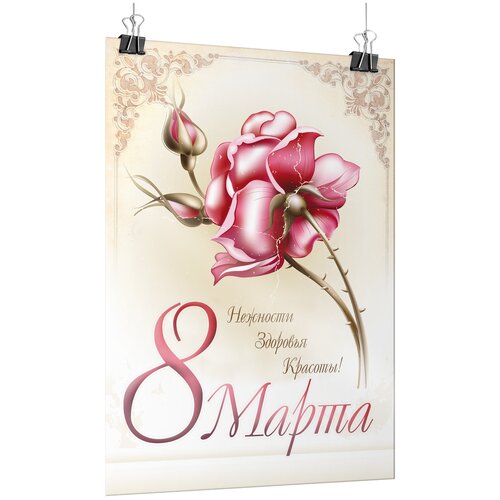 ���� ������ �� 8 �����, ������ �-1 (60x84 ��.), ������ ������