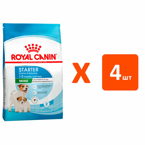  ROYAL CANIN MINI STARTER      2 ,     8,5   4    -     , -  