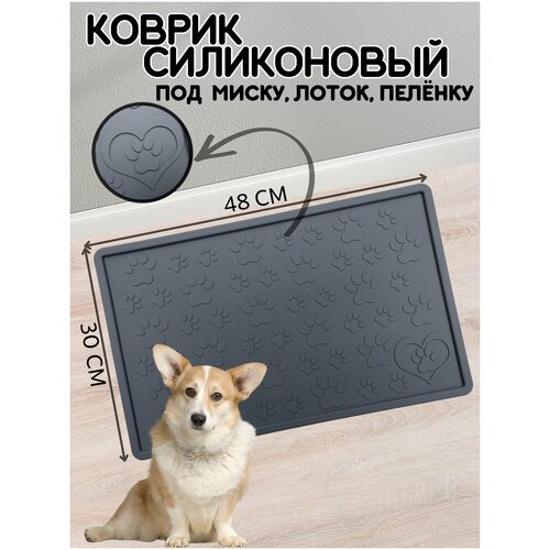 ���� ������ ��� ����� ��� ����� � �����, �����, ������, �����������, ������������ � ��������, 48�30 ��, �����-�����, ������ ������