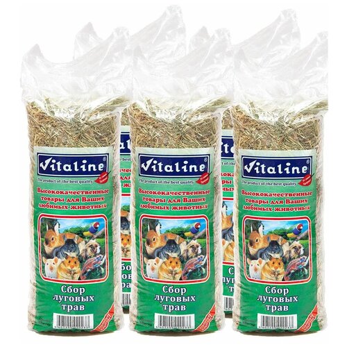 ���� ���� 