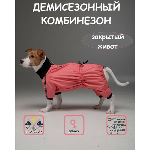     DOGMODA     5   -     , -  