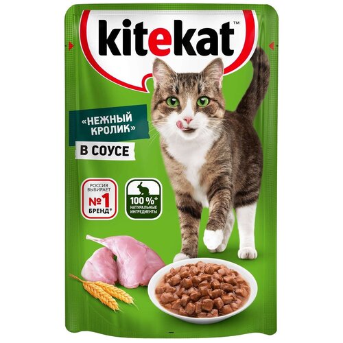    KiteKat  ,  , 85    -     , -,   