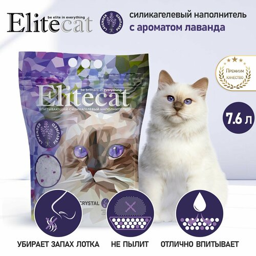        ELITECAT 