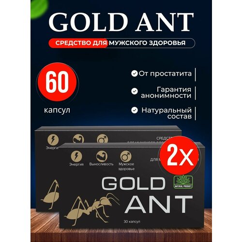    Gold Ant ,  ,    60    -     , -  