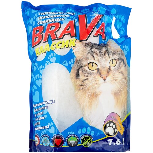    Brava -, 7.6, 1 .   -     , -  