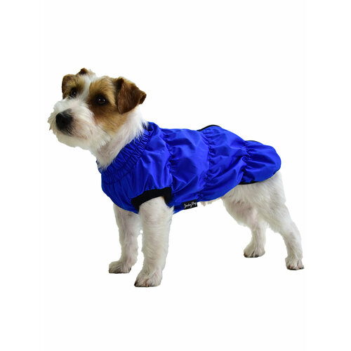 ���� ����� �������� �� ����� ������� �.18 ��. �������, ������ ������