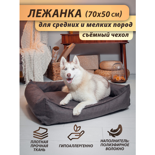 ���� ������� �� ������� ������ Beast. ��� ����� ������ � ������� �����, ��� �����, 70x50 ��, ����: �����-����������, ������ ������