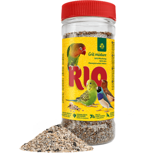  Rio ()       520   -     , -  