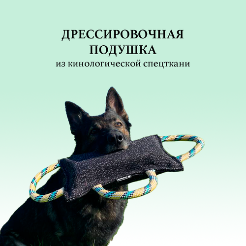 ���� ������� ������� ��� ����������� ����� BITEFORCE, �� �������� ��������� � ����� ������� ������, ������ ������