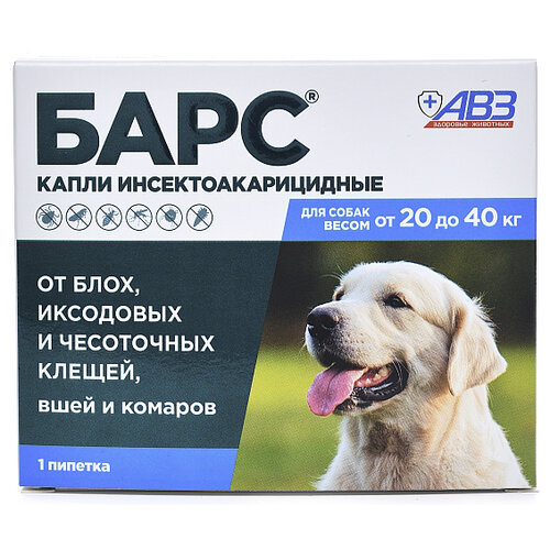 ���� ���� (���) ����� �� ���� � ������ ������������������ ��� ����� �� 20 �� 40 �� 1 ��. � ��., 1 ��., ������ ������