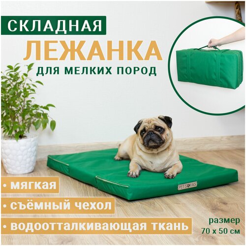  Pet Sofas l          .  .  .