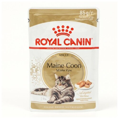    RC Maine Coon , 85    -     , -,   